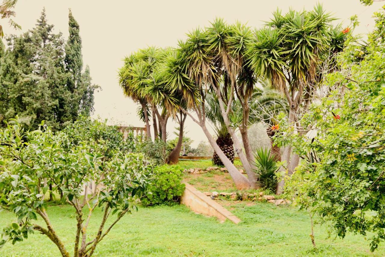 Finca Randa, Llucmayor, Bis 3 Sz, Pool, Garten Llucmajor  Eksteriør bilde