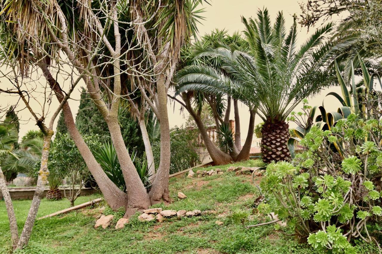 Finca Randa, Llucmayor, Bis 3 Sz, Pool, Garten Llucmajor  Eksteriør bilde