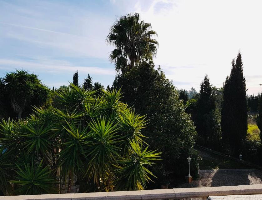 Finca Randa, Llucmayor, Bis 3 Sz, Pool, Garten Llucmajor  Eksteriør bilde